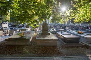 uderzenie pojazdu mechanicznego