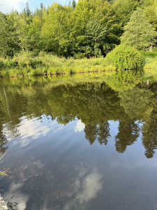 szukasz idealnego miejsca